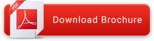 downlaodpdf